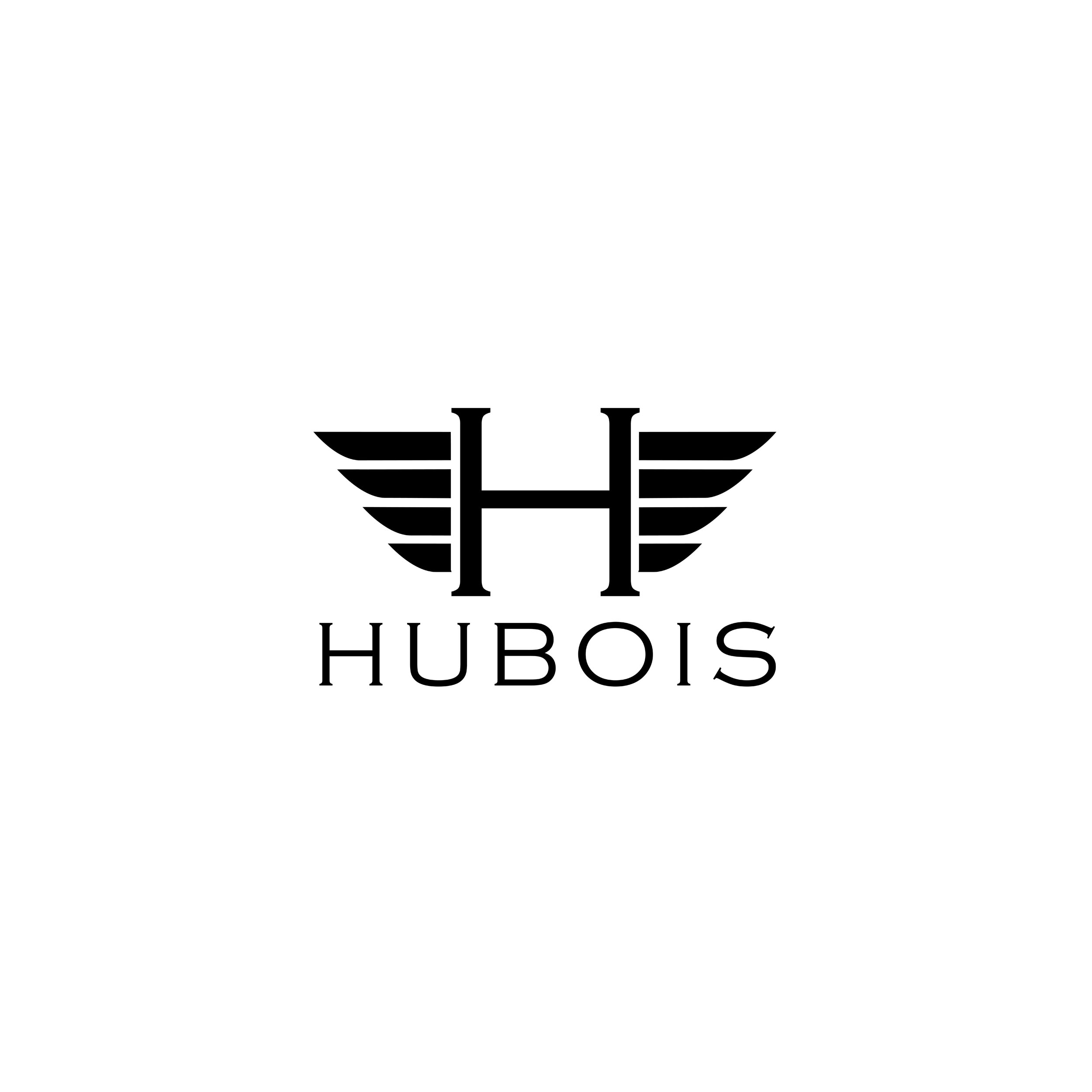 HUBOIS - Luxury Brand Logo Design - JM Graphic Design